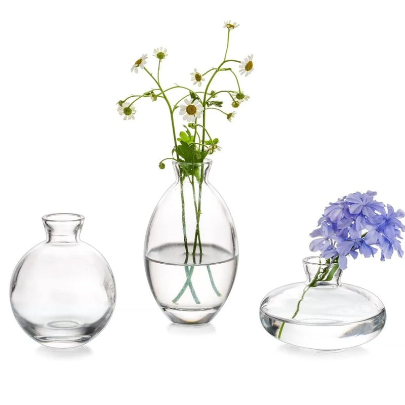 Mini Vaso de Vidro Transparente – Design Minimalista para Arranjos Delicados